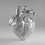 DIAGNÓSTICO CARDIOVASCULAR