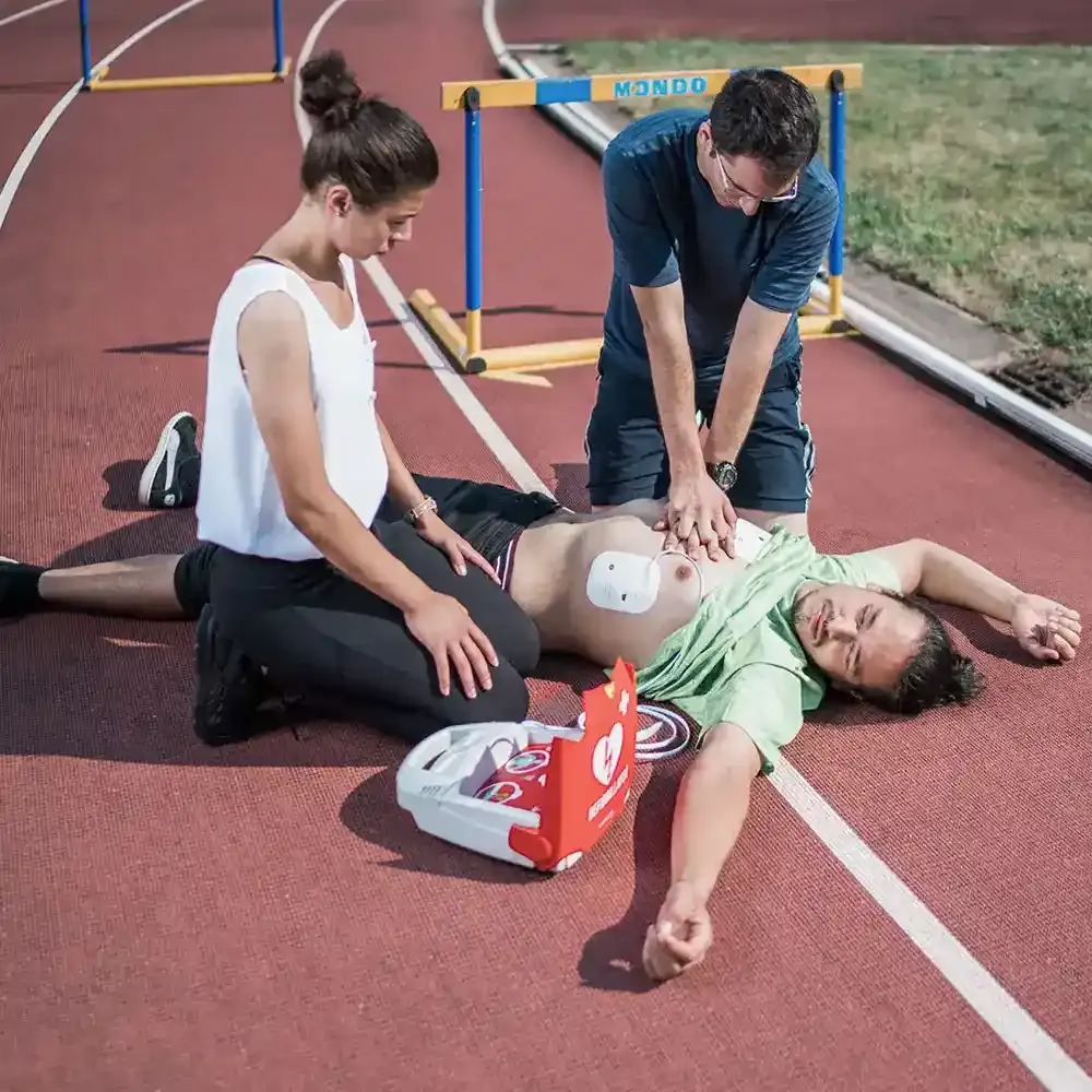 DEA FRED PA-1 - Vista 5